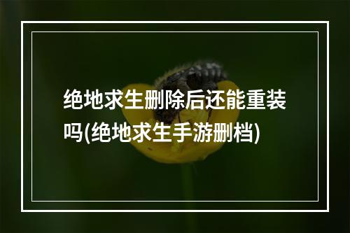 绝地求生删除后还能重装吗(绝地求生手游删档)