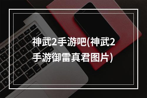 神武2手游吧(神武2手游御雷真君图片)