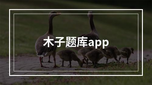 木子题库app