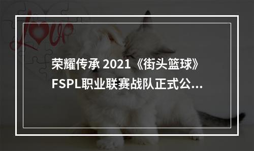 荣耀传承 2021《街头篮球》FSPL职业联赛战队正式公布