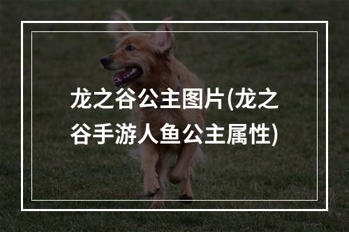 龙之谷公主图片(龙之谷手游人鱼公主属性)