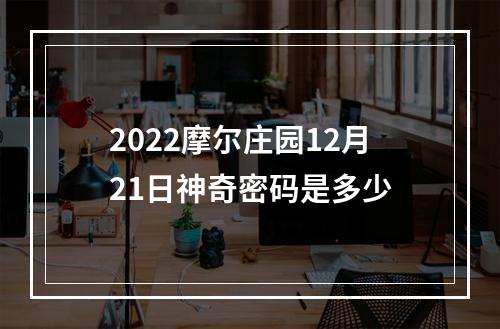 2022摩尔庄园12月21日神奇密码是多少