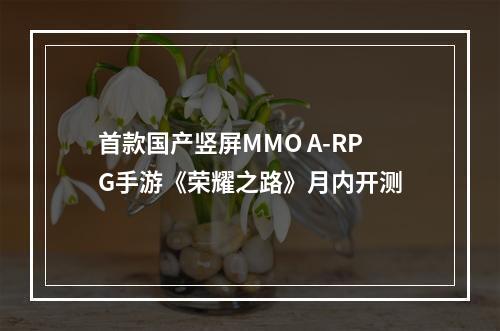 首款国产竖屏MMO A-RPG手游《荣耀之路》月内开测