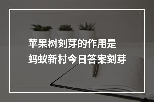 苹果树刻芽的作用是 蚂蚁新村今日答案刻芽