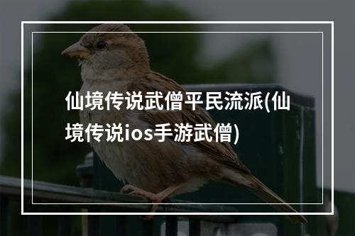 仙境传说武僧平民流派(仙境传说ios手游武僧)