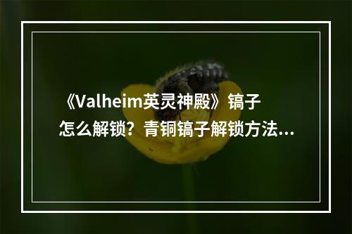 《Valheim英灵神殿》镐子怎么解锁？青铜镐子解锁方法介绍