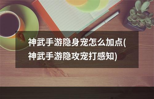 神武手游隐身宠怎么加点(神武手游隐攻宠打感知)