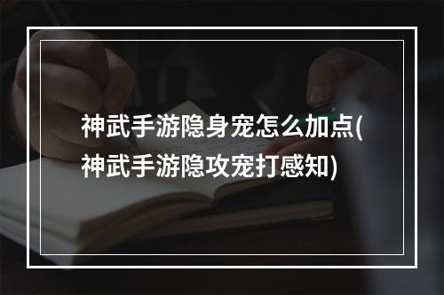 神武手游隐身宠怎么加点(神武手游隐攻宠打感知)