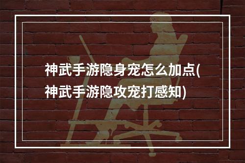 神武手游隐身宠怎么加点(神武手游隐攻宠打感知)