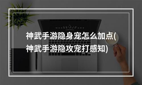 神武手游隐身宠怎么加点(神武手游隐攻宠打感知)