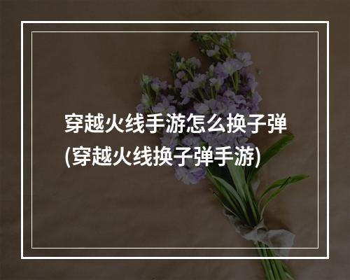 穿越火线手游怎么换子弹(穿越火线换子弹手游)