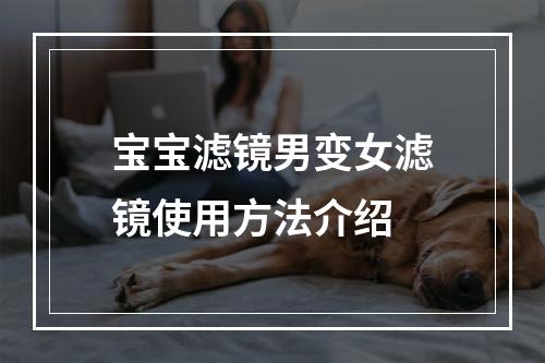 宝宝滤镜男变女滤镜使用方法介绍