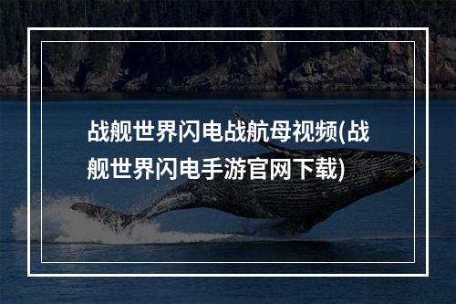 战舰世界闪电战航母视频(战舰世界闪电手游官网下载)