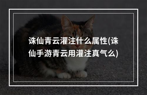 诛仙青云灌注什么属性(诛仙手游青云用灌注真气么)