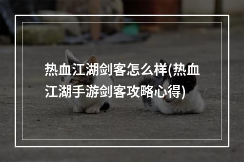 热血江湖剑客怎么样(热血江湖手游剑客攻略心得)