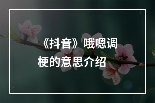 《抖音》哦嗯调梗的意思介绍