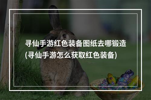 寻仙手游红色装备图纸去哪锻造(寻仙手游怎么获取红色装备)