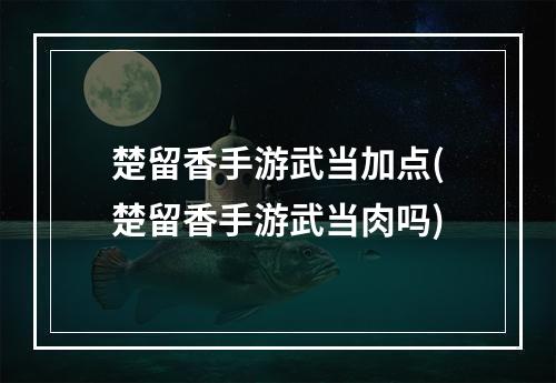 楚留香手游武当加点(楚留香手游武当肉吗)