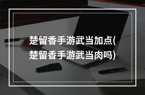 楚留香手游武当加点(楚留香手游武当肉吗)