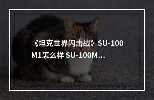 《坦克世界闪击战》SU-100M1怎么样 SU-100M1坦克图鉴