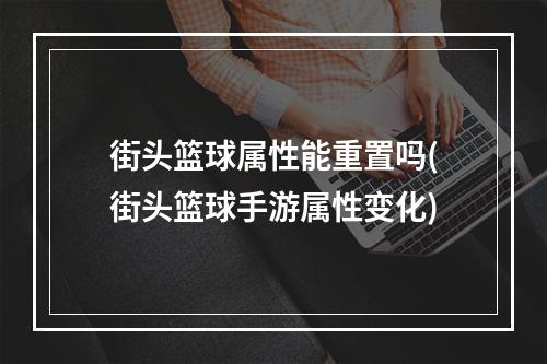 街头篮球属性能重置吗(街头篮球手游属性变化)