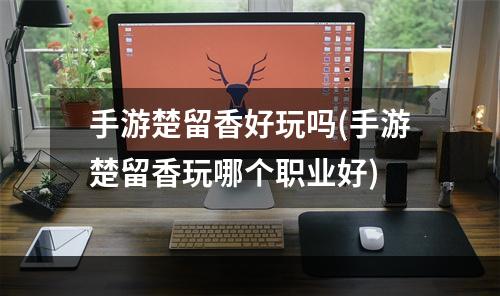 手游楚留香好玩吗(手游楚留香玩哪个职业好)