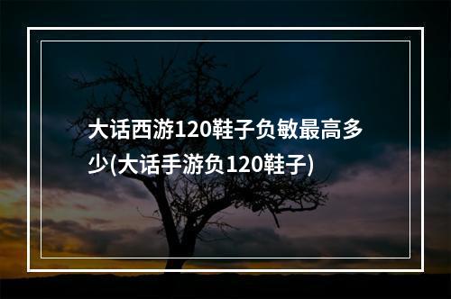 大话西游120鞋子负敏最高多少(大话手游负120鞋子)