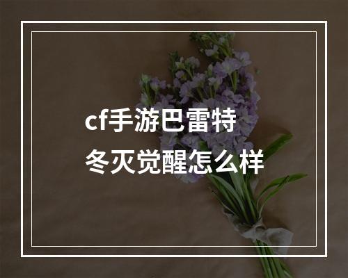 cf手游巴雷特冬灭觉醒怎么样