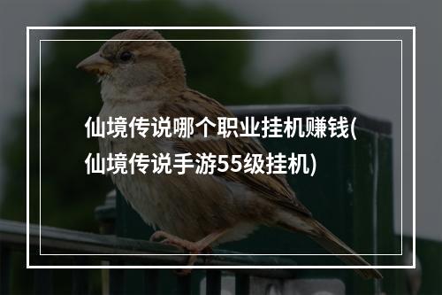 仙境传说哪个职业挂机赚钱(仙境传说手游55级挂机)