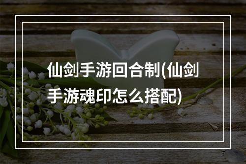 仙剑手游回合制(仙剑手游魂印怎么搭配)