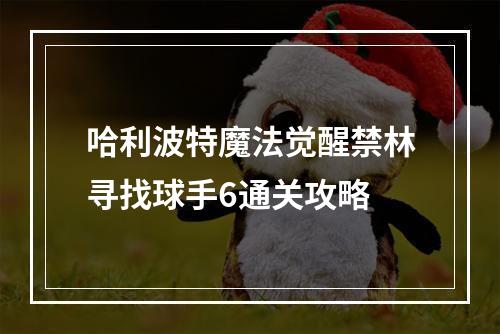 哈利波特魔法觉醒禁林寻找球手6通关攻略