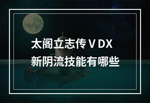 太阁立志传ⅤDX新阴流技能有哪些