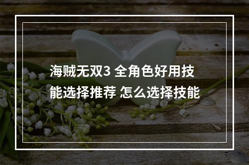 海贼无双3 全角色好用技能选择推荐 怎么选择技能