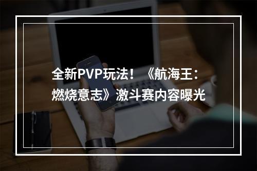 全新PVP玩法！《航海王：燃烧意志》激斗赛内容曝光