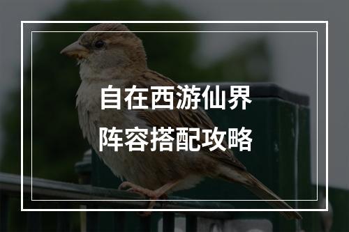 自在西游仙界阵容搭配攻略