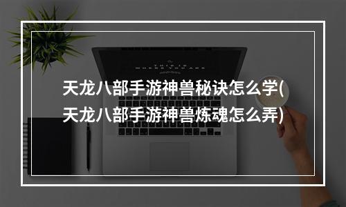 天龙八部手游神兽秘诀怎么学(天龙八部手游神兽炼魂怎么弄)