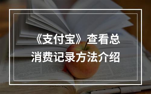 《支付宝》查看总消费记录方法介绍