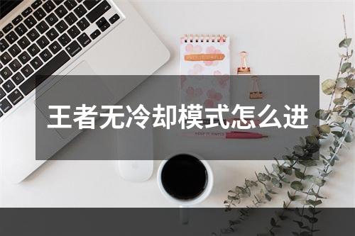 王者无冷却模式怎么进