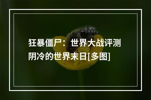 狂暴僵尸：世界大战评测 阴冷的世界末日[多图]