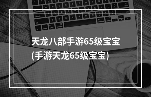 天龙八部手游65级宝宝(手游天龙65级宝宝)