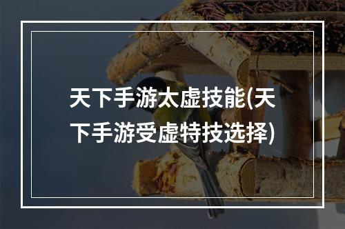 天下手游太虚技能(天下手游受虚特技选择)