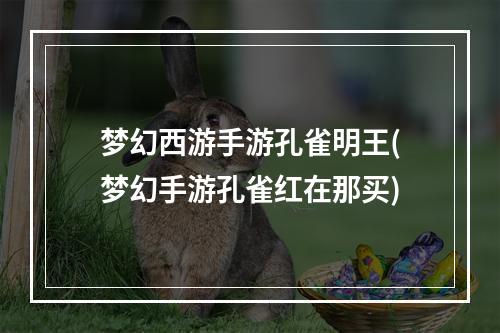 梦幻西游手游孔雀明王(梦幻手游孔雀红在那买)