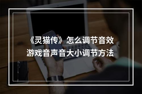 《灵猫传》怎么调节音效 游戏音声音大小调节方法