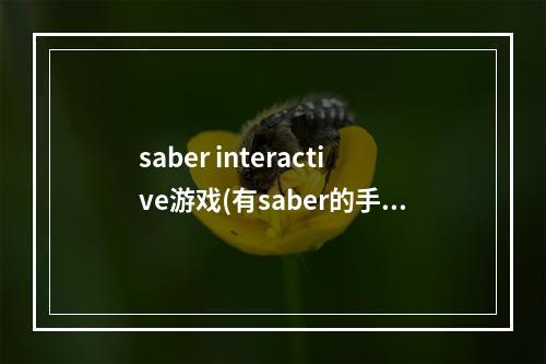 saber interactive游戏(有saber的手游很萌的)