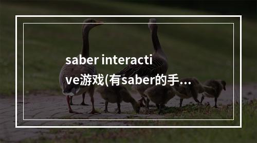 saber interactive游戏(有saber的手游很萌的)