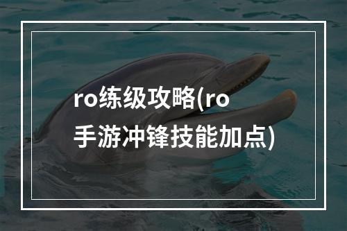 ro练级攻略(ro手游冲锋技能加点)