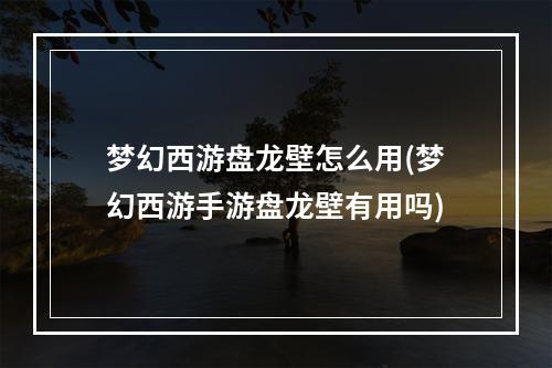 梦幻西游盘龙壁怎么用(梦幻西游手游盘龙壁有用吗)