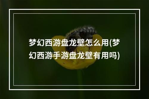 梦幻西游盘龙壁怎么用(梦幻西游手游盘龙壁有用吗)