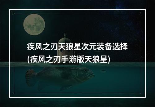 疾风之刃天狼星次元装备选择(疾风之刃手游版天狼星)