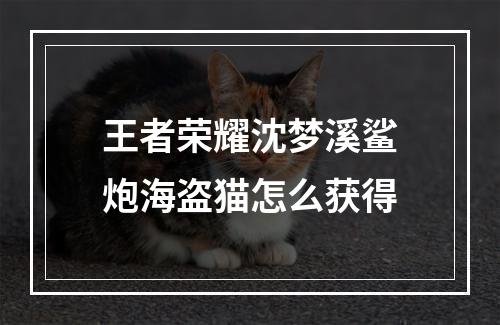 王者荣耀沈梦溪鲨炮海盗猫怎么获得